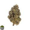 Lemon Diesel Strain