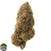 Lifter Strain
