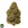 Lifter Strain - Image 3