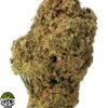 Lifter Strain - Image 2