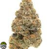 Orange Push Pop Strain - Image 3
