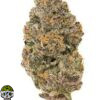 Orange Push Pop Strain