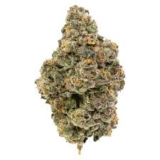 Orange Push Pop Strain