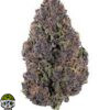 Pink Panther Strain - Image 4