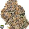 Stellar OG Strain - Image 3