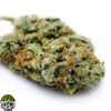 Strawberry Guava Strain - Image 4