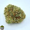 Sunset Sherbet Strain - Image 4