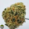 Sunset Sherbet Strain