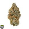 Tribute 13 Strain - Image 4