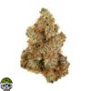 Tribute 13 Strain