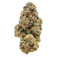 Tribute 13 Strain
