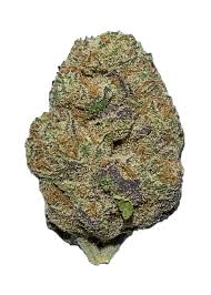 Trophy Wife Strain
