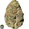 Trophy Wife Strain - Image 4
