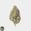 Trophy Wife Strain