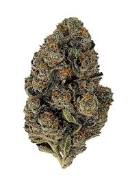 Buy Girl Scout Cookies Online
