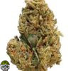 Captain's Cake Strain - Image 4