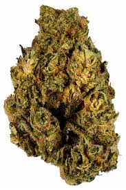 Captain’s Cake Strain 
