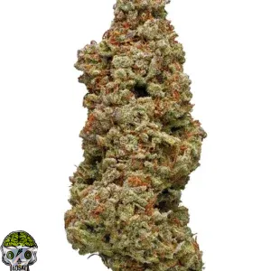 Cheese Quake Strain