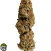 Cheese Quake Strain - Image 4