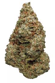 Cheese Quake Strain

