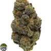 Buy Girl Scout Cookies Online