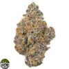 Goudaberry Strain - Image 4