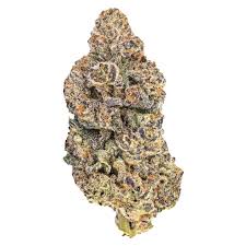 Goudaberry Strain
