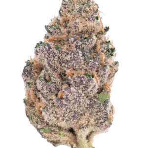 Goudaberry Weed Strain Near Me