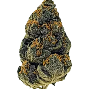 Mac Donut Weed Strain Near Me