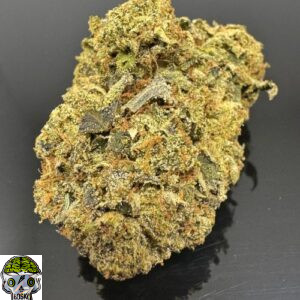 Master Kush Strain
