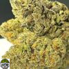 Master Kush Strain - Image 4