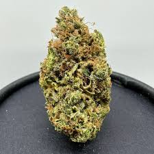 Master Kush Strain 
