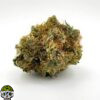 OG Shark Strain - Image 4