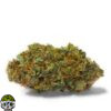 OG Shark Strain - Image 3