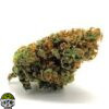 OG Shark Strain