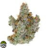 Rainbow Belts Strain - Image 4