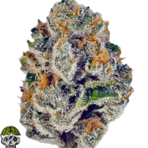 Rainbow Belts Strain