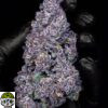 Rainbow Runtz Strain - Image 3