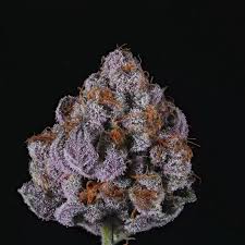 Rainbow Runtz Strain
