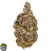 White Death strain - Image 3