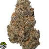 White Death strain
