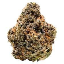 White Death strain 