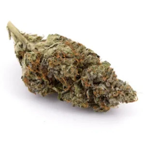 White Death Strain