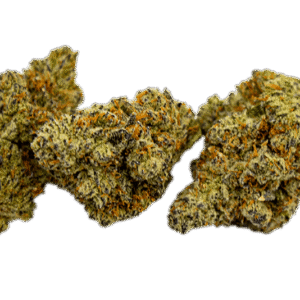 Sativa
