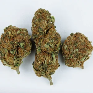 Indica