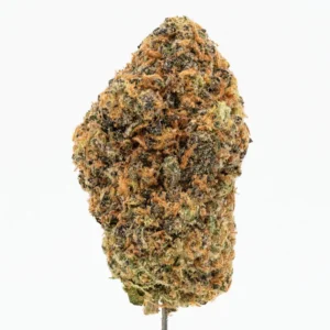Sativa